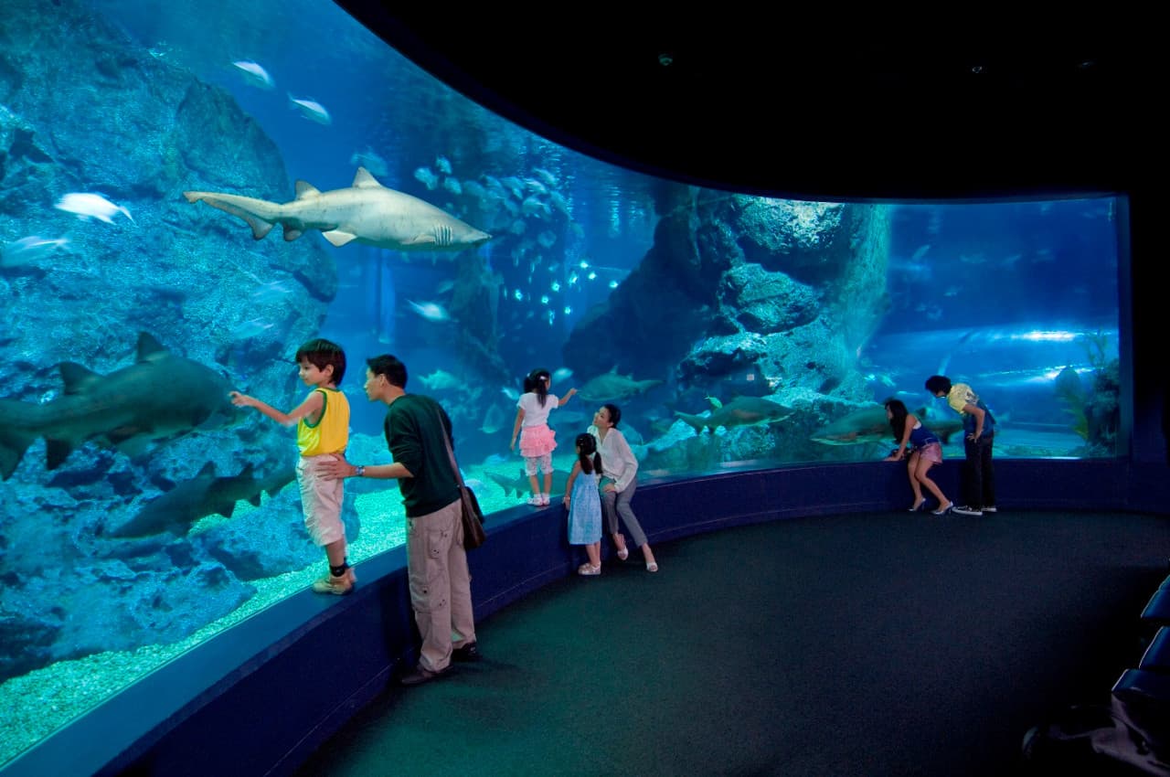 SEA LIFE Bangkok Ocean World Ticket - image 7